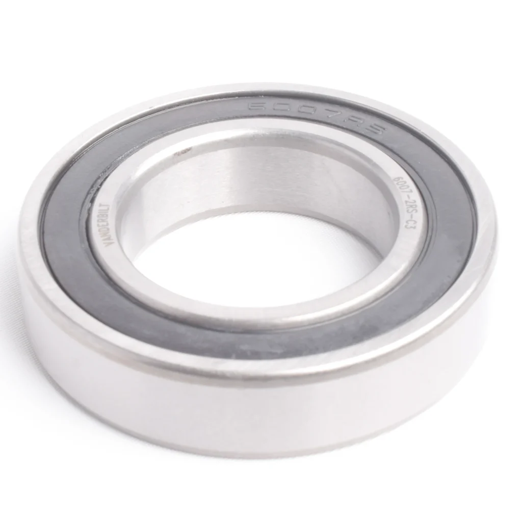 6007-2RS-C3 V (2)_webp