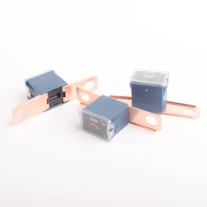 FUSIBLE PRINCIPAL JAP. C-TYPE 100A AZUL
