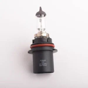 BOMBILLO HALOGENO HB5 12V 100/80W