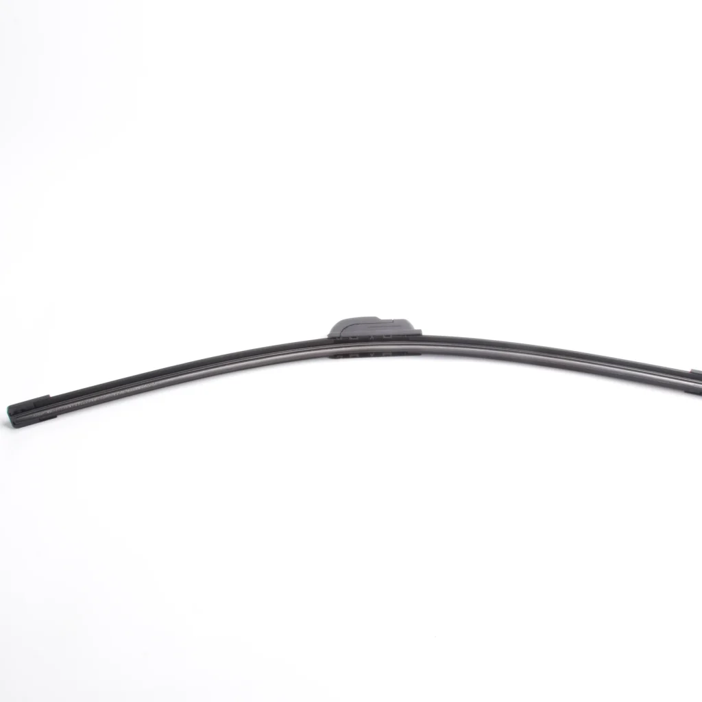 NYF-0109-20 (2)_webp