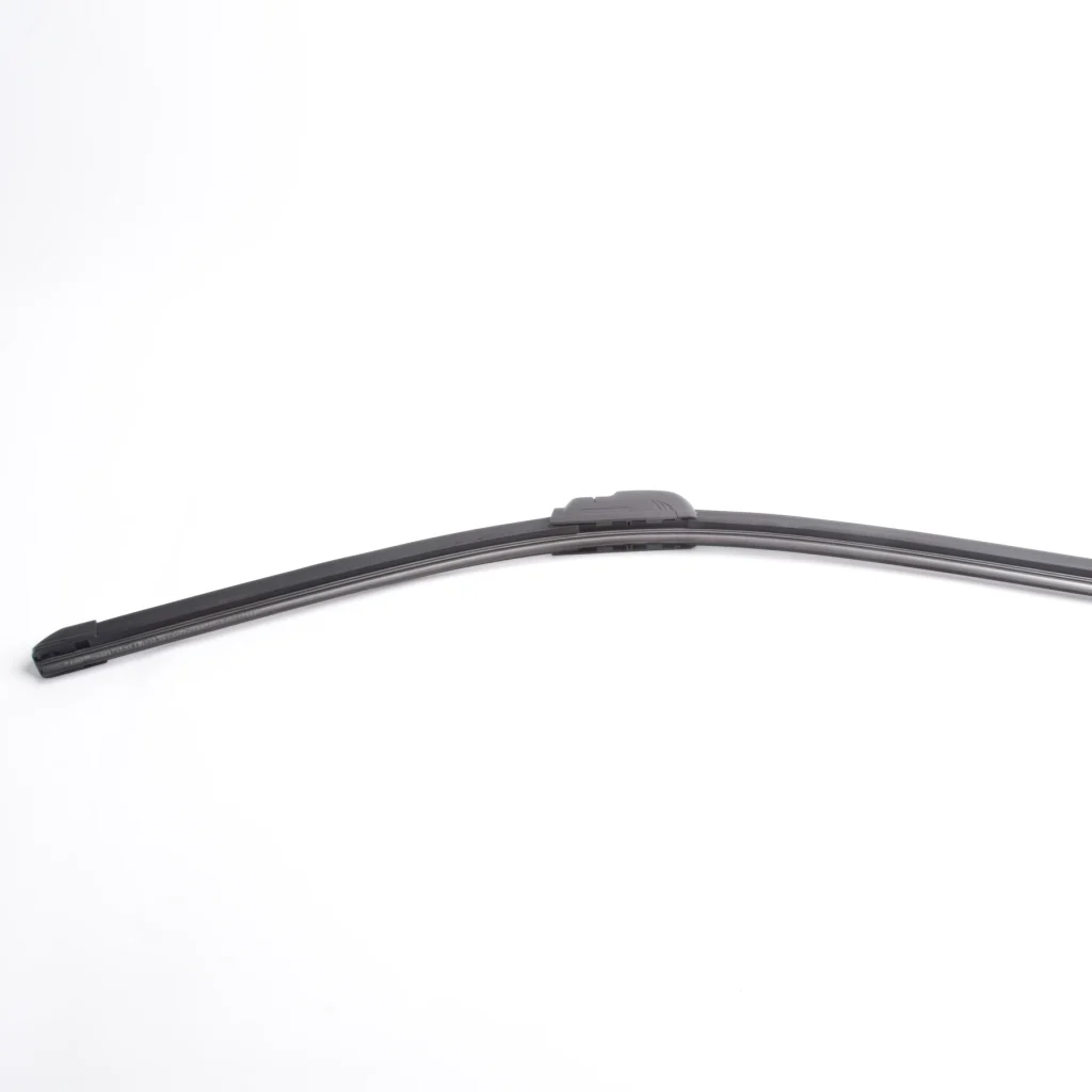 NYF-0109-22 (2)_webp