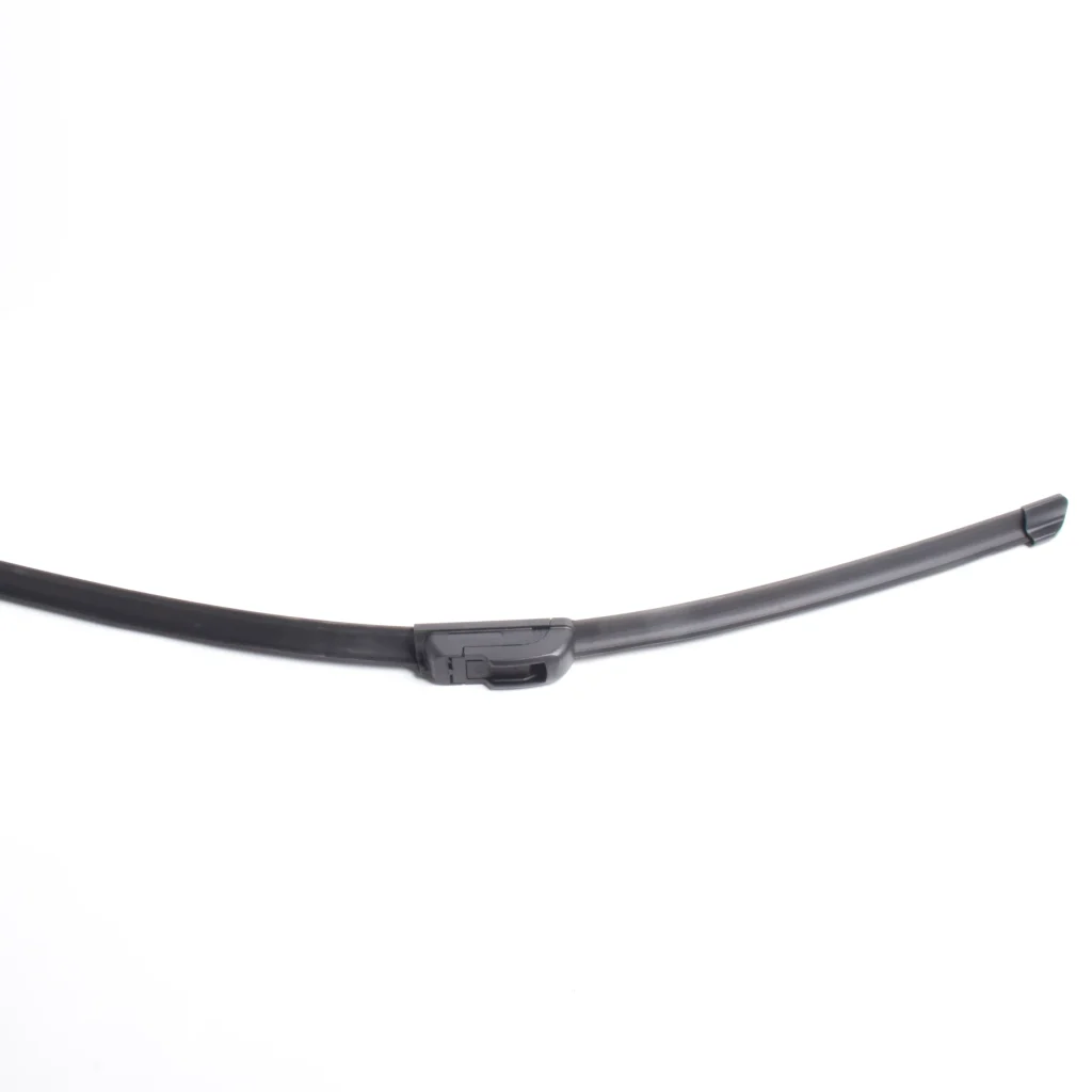 NYF-0109-24 (1)_webp