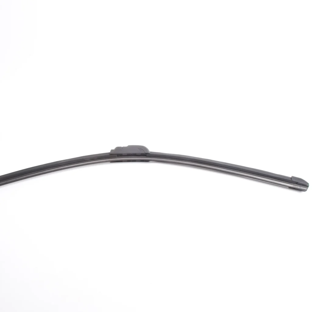 NYF-0109-24 (2)_webp