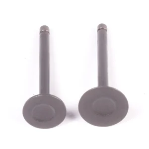 KIT VALVULAS BOXER CT 100