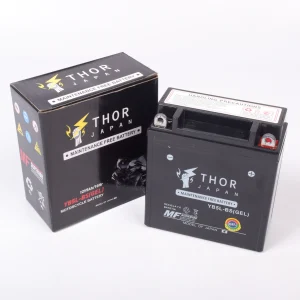 BATERIA AKT110-ACTIVE 110-BOXER-BM 150