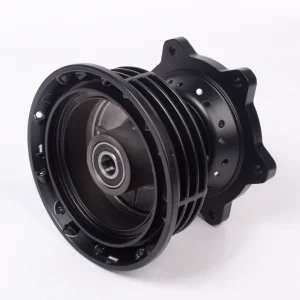 CAMPANA TRASERA TTR 150